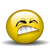 :dolf_ru_035: