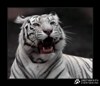 |Дима| фотография