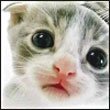 Update фотография